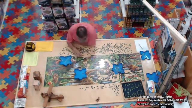 Day 109 September 16, 2014 - "Wildlife" 33600 pc World's Largest Jigsaw Puzzle смотреть онлайн