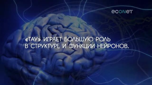 Корица - 7 убедительных причин полюбить её! смотреть онлайн