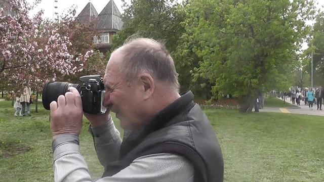 Весна 2016. Цветение. Розовые яблони. смотреть онлайн