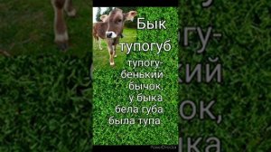 Скороговорка " Бык тупогуб".