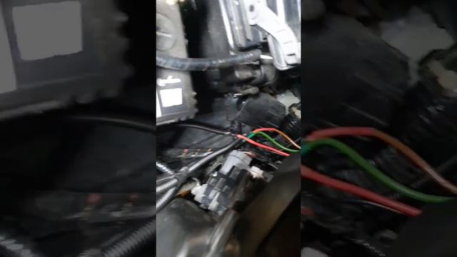 Установка сигналов Honda Shuttle GP7