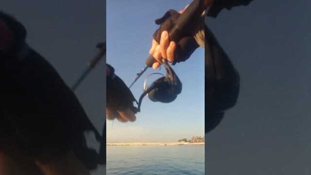dubai j3..kayak fishing..w master anglers...olrayt...????? смотреть онлайн
