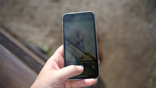 Apple iPhone 11 в 2023 году смотреть онлайн