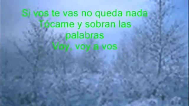 Vilma Palma Voy a Vos Karaoke смотреть онлайн