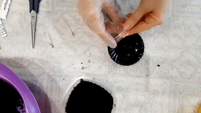 Рассада в улитке. На скорую руку. смотреть онлайн