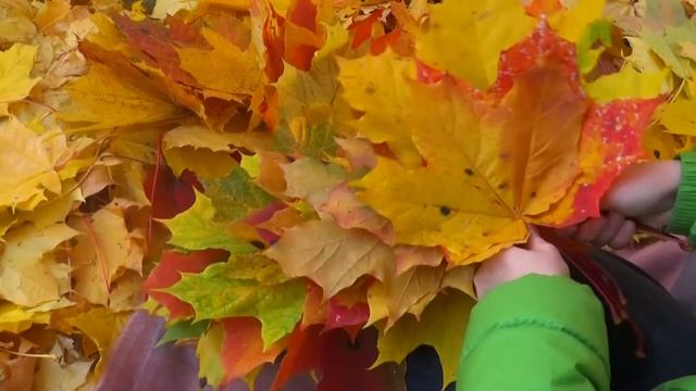 ВЕНОК ИЗ ЛИСТЬЕВ | Мастер-класс смотреть онлайн