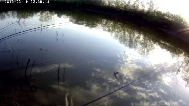 ЖОР КАРАСЯ!!! Рыбалка в мае. смотреть онлайн