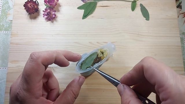 Улитка из эпоксидной смолы с настоящими растениями от заливки до демолдинга смотреть онлайн