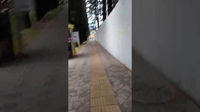 второй день на море,14.06.22.Адлер, дорога от гостевого дома на улице Крупской до пляжа чайка. смотреть онлайн