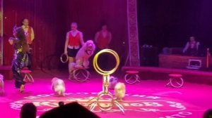 ЦИРК-ШАПИТО КУДЗИНОВ...1апреля 2023.Часть вторая