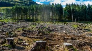 Видео занятие для дошкольников,посвященное Дню Земли.