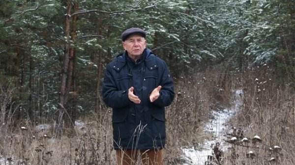 #08 Бальзам для позвоночника. Станислав Лосев_ Как справиться с давлением жизни