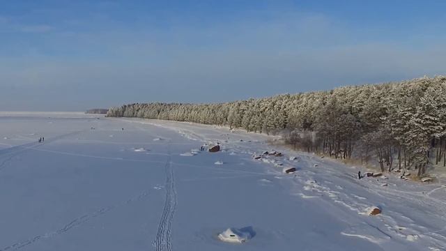 Сосновый Бор смотреть онлайн
