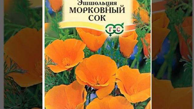 Сорта эшшольции от гавриш смотреть онлайн