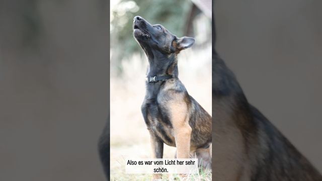 Fotoshooting mit Loki смотреть онлайн