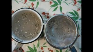 Чистим ЧЕРНЫЕ СЕМЕЧКИ очень быстро. В реальном времени.