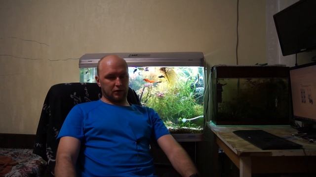 Дешевая баллонная система CO2 для аквариума смотреть онлайн