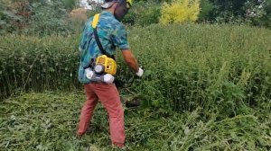 Мотокоса Al-ko frs 4125 в действии