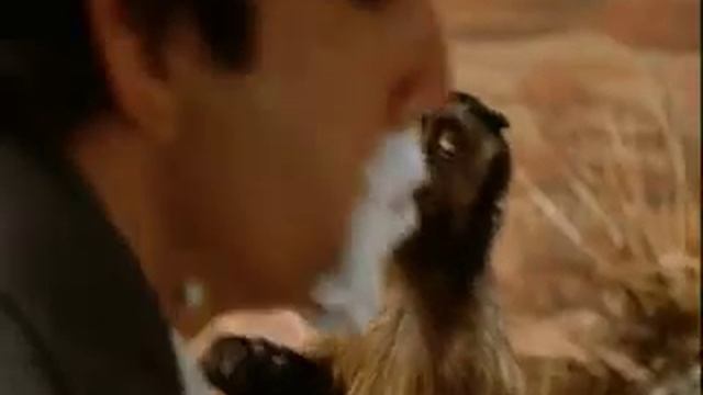 Night At The Museum- Monkey Slap (slow-mo) смотреть онлайн