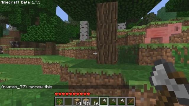 Minecraft CREEPYPASTA: The NPC