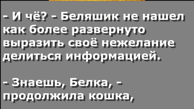 Чербелоидный подкаст #330 - Черный лебедь и бабушка велосипед смотреть онлайн