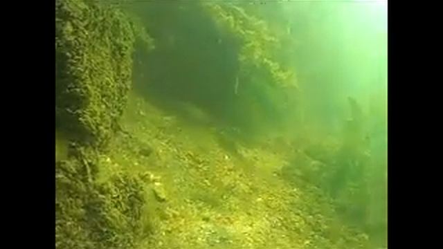 Дайвинг с дайв центром 