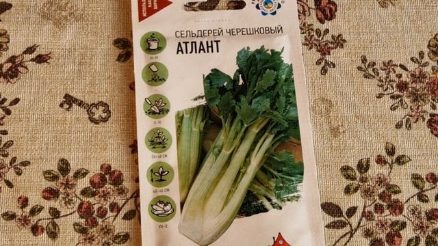 СЕМЕНА СЕЛЬДЕРЕЯ / КАКИЕ КУПИТЬ СЕМЕНА СЕЛЬДЕРЕЯ? смотреть онлайн