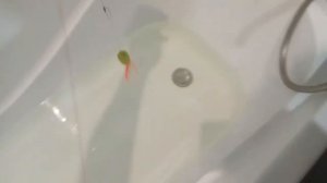 Самодельный поппер для ловли в траве. Прототип