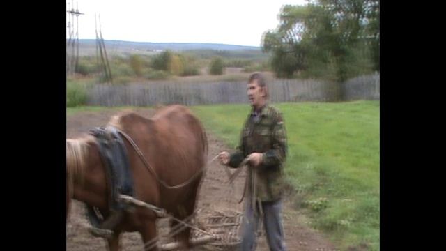 Лошадь вместо мотоблока смотреть онлайн
