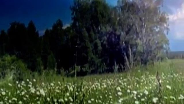 Ах,эта красная рябина смотреть онлайн