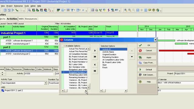 Primavera P6 to find variance of labor units with the project Baseline смотреть онлайн