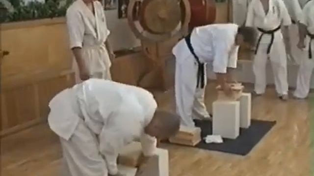 27.07.2004 год. Памятная тренировка ДР сосая Масутацу Оямы. Хабаровск. смотреть онлайн