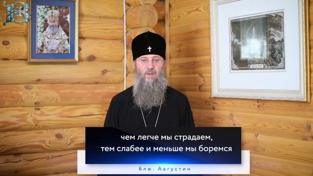 Воскресенье, 15 октября 2023 года. Толкование Апостола с митр. Антонием (Паканичем). смотреть онлайн