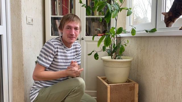 Предложения по мату смотреть онлайн
