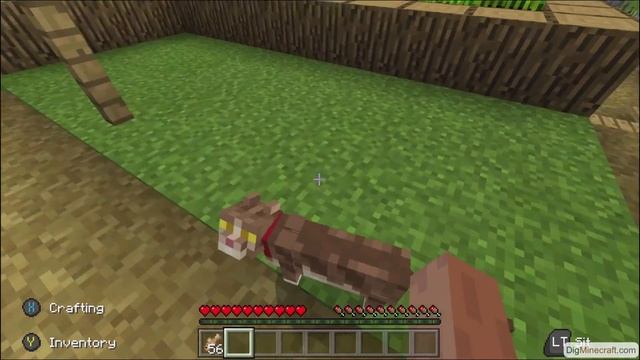 How to tame and breed Cats in Minecraft смотреть онлайн