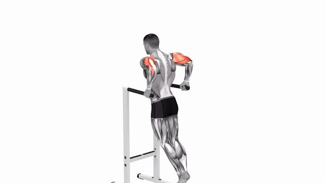 4 Best Exercises For Triceps | Home Workout смотреть онлайн