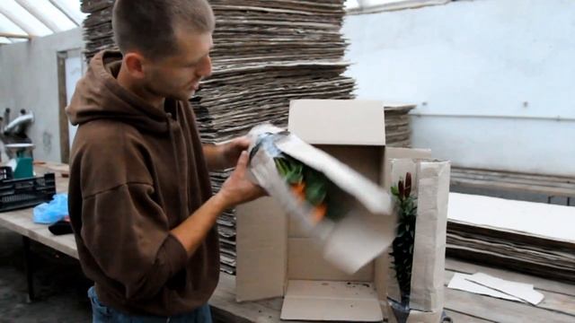 Упаковка цветов для отправки почтой смотреть онлайн