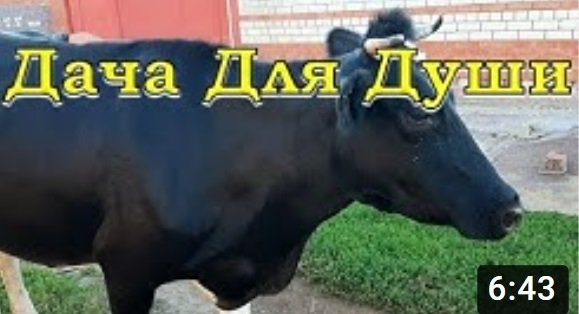 НАВОЗ: какой бывает, чей лучше, когда и сколько вносить????