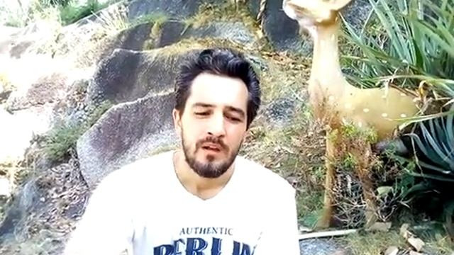 Как устроиться работать учителем в Таиланде смотреть онлайн