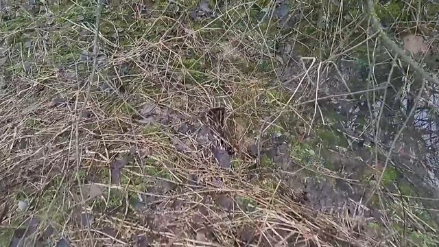 ОТЛИЧНЫЕ НАХОДКИ||ЦЕНА НА МЕТАЛЛ РАСТЕТ. смотреть онлайн