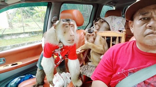 Back From Outstation