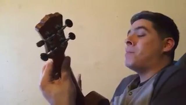 Something Entirely New - Steven Universe *Ukulele Cover смотреть онлайн
