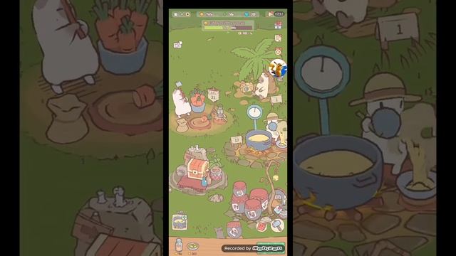 кошки и суп часть 2