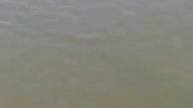 НА РЫБАЛКЕ С ВОВЧИКОМ. смотреть онлайн