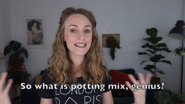 Soil, dirt, and potting mix: what's the difference?