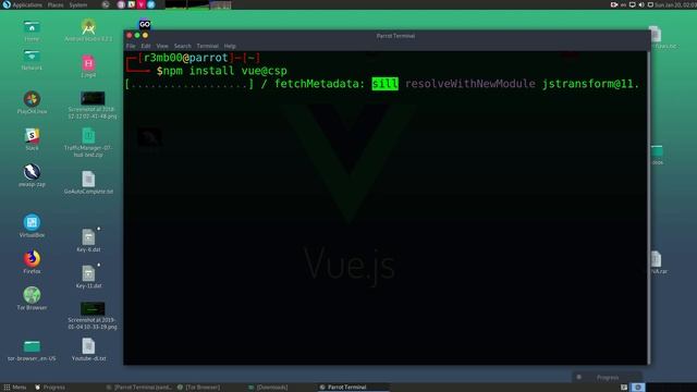 How to install Vue js with Terminal on Parrot Security Linux смотреть онлайн