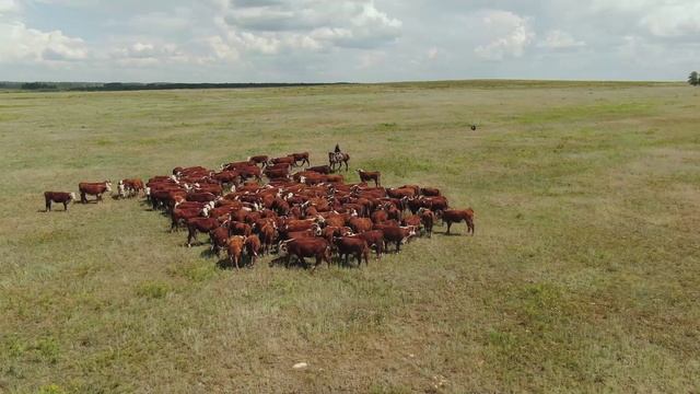 Видеопрезентация Челябинской области смотреть онлайн