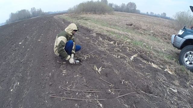 Поиск металла на территории Советской насосной станции. Металлокоп 2022 смотреть онлайн