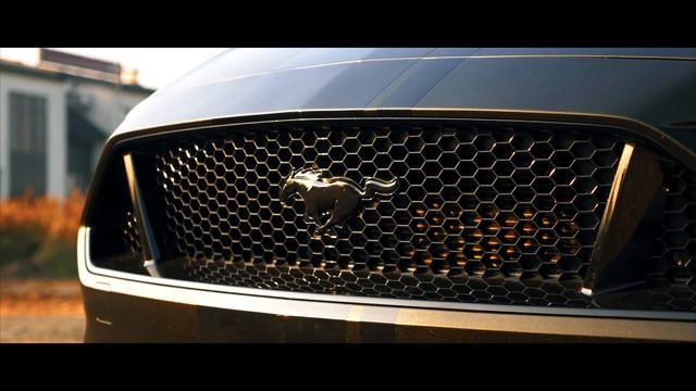 Ford Mustang GT - short cut | 4K смотреть онлайн