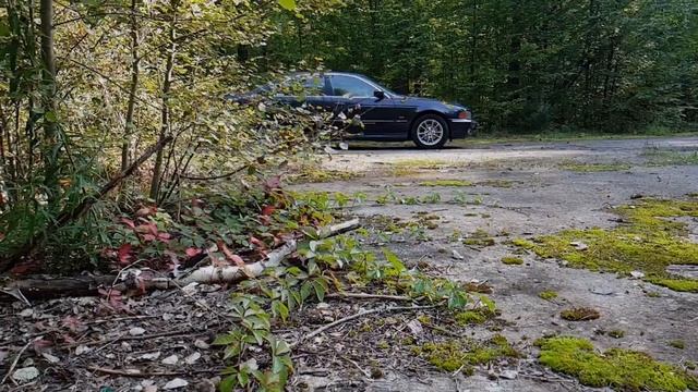 Bmw E39 смотреть онлайн